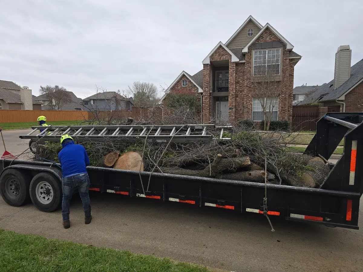 Expert Tree Pest Control with proper safety equipment in Swartz